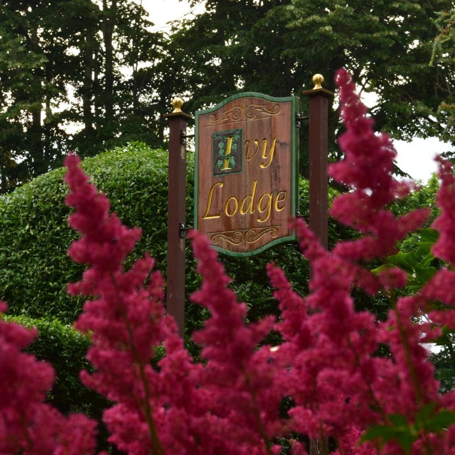 Ivy Lodge Newport Exterior foto